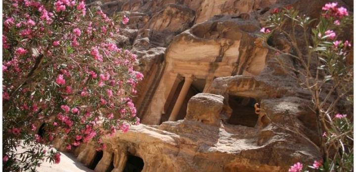 Voyage sur-mesure, Little Petra